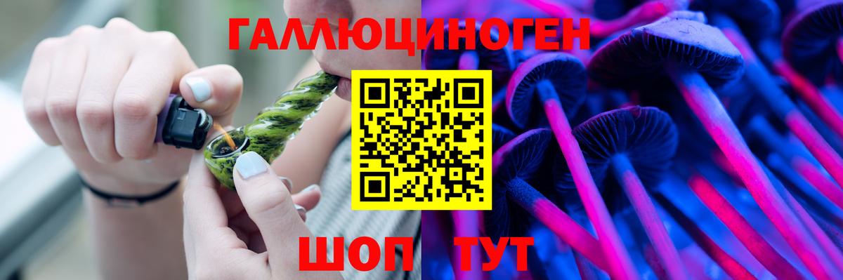 Галлюциногенные грибы Psilocybe Кимовск